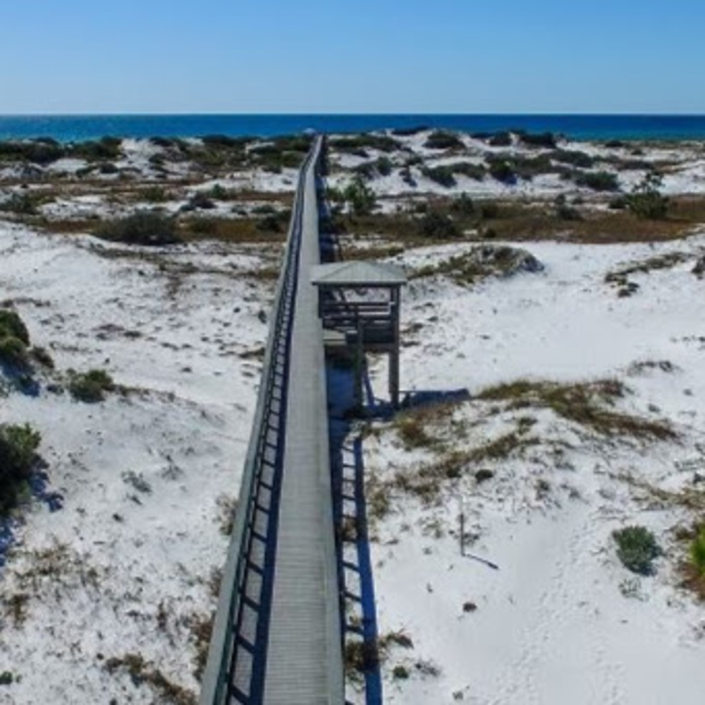 Meet your Posher, Abigail